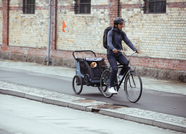 Bike Trailer Thule Courier 2 Assentos - Image 8