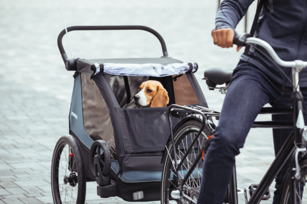 Bike Trailer Thule Courier 2 Assentos - Image 17